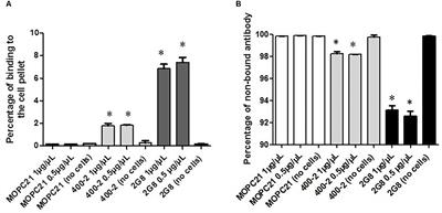 Radioimmunotherapy of Blastomycosis in a Mouse Model With a (1→3)-β-Glucans Targeting Antibody